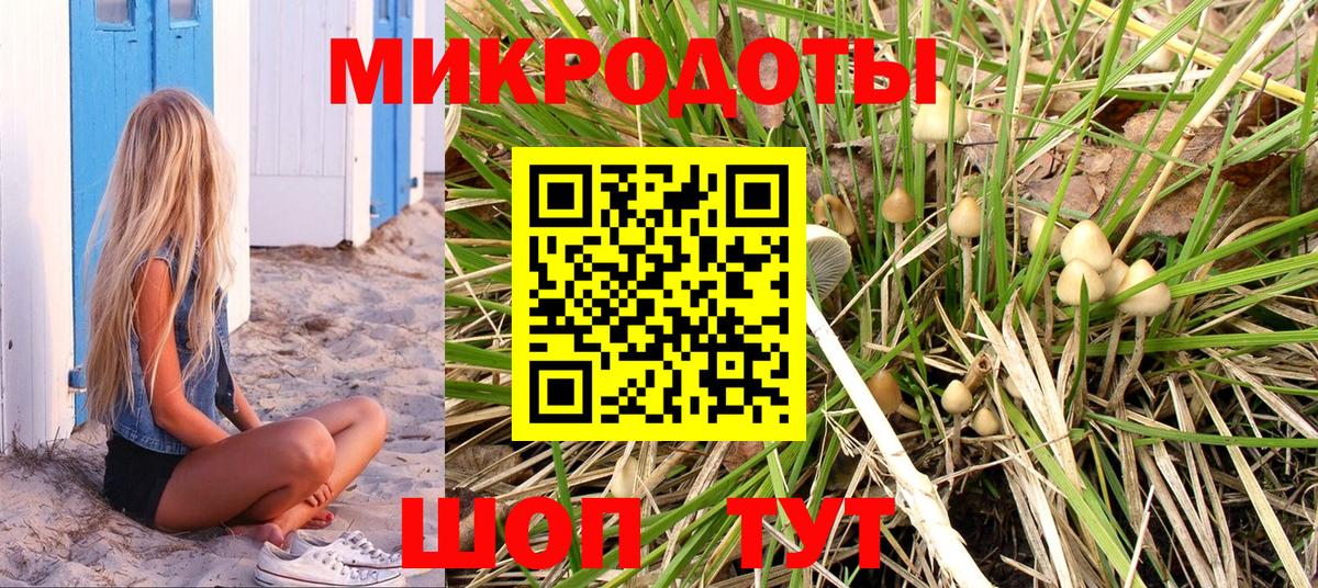 Нальчик  Галлюциногенные грибы Psilocybine cubensis  Вход с VPN 